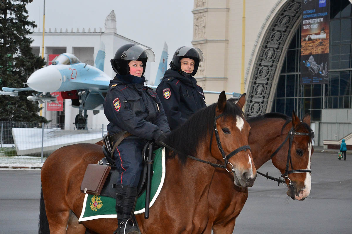 Москва оперативно