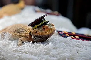 29291