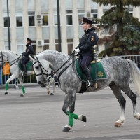 DSC_0543.jpg