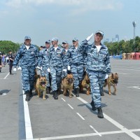 DSC_8991.jpg