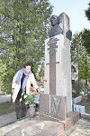 _dsc0050.jpg